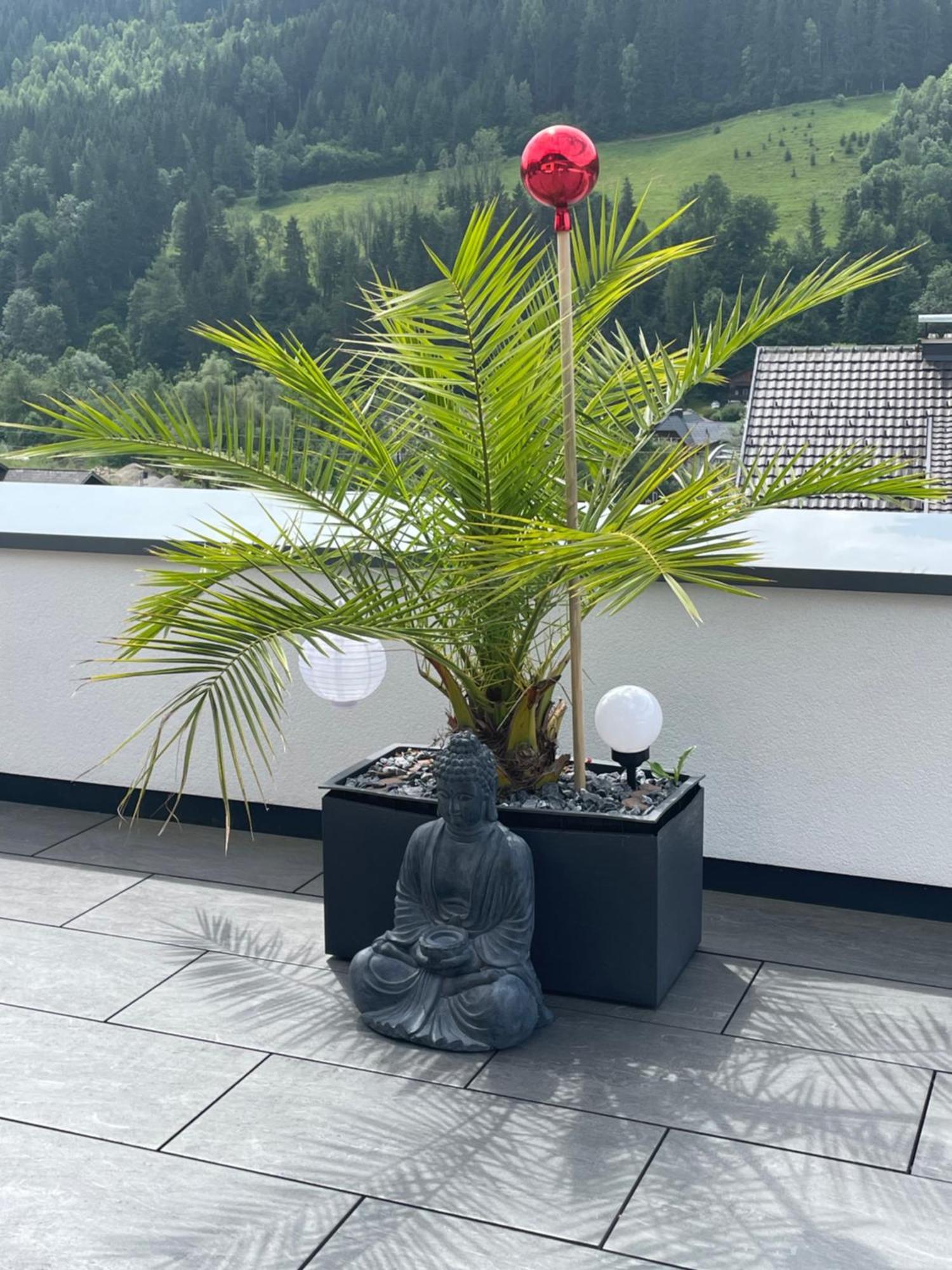 Sun Chalet Schladming Esterno foto
